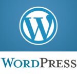 Wordpress Speed Optimisation: Is Your Site Speed Below Average?